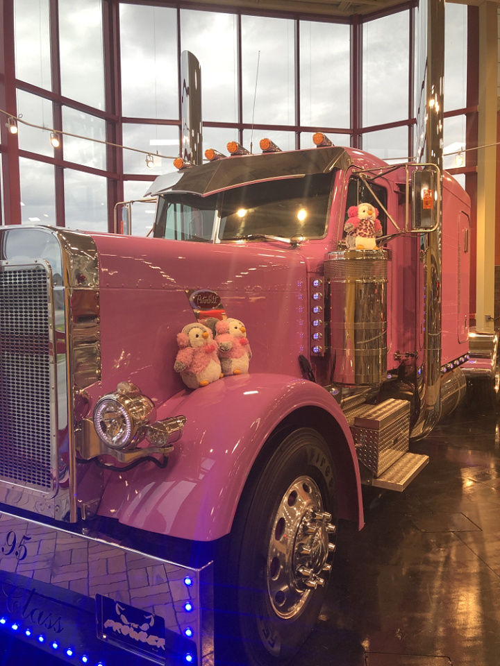 A Pink Peterbilt Sarahceleste Blipfoto