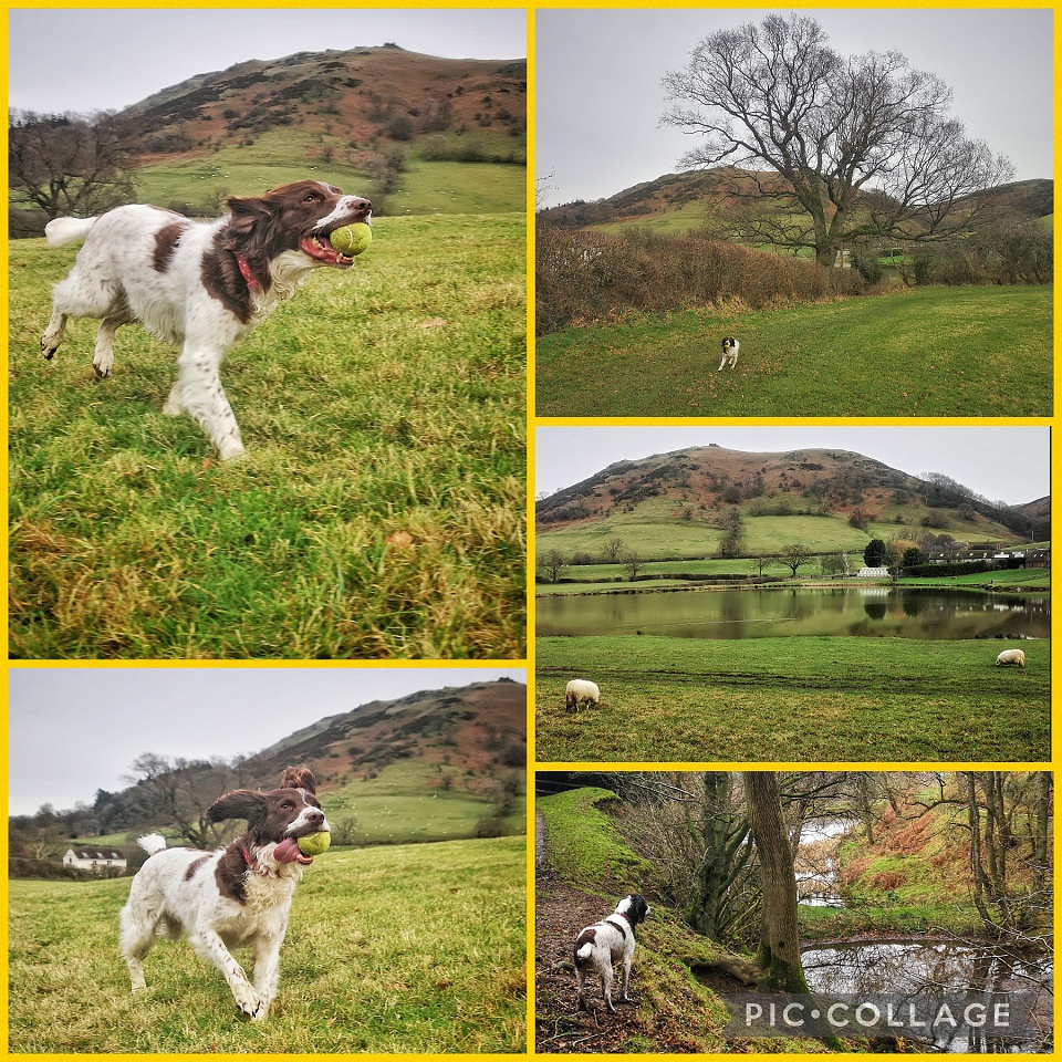 Inleman Run For The Hills | Ingleman | Blipfoto