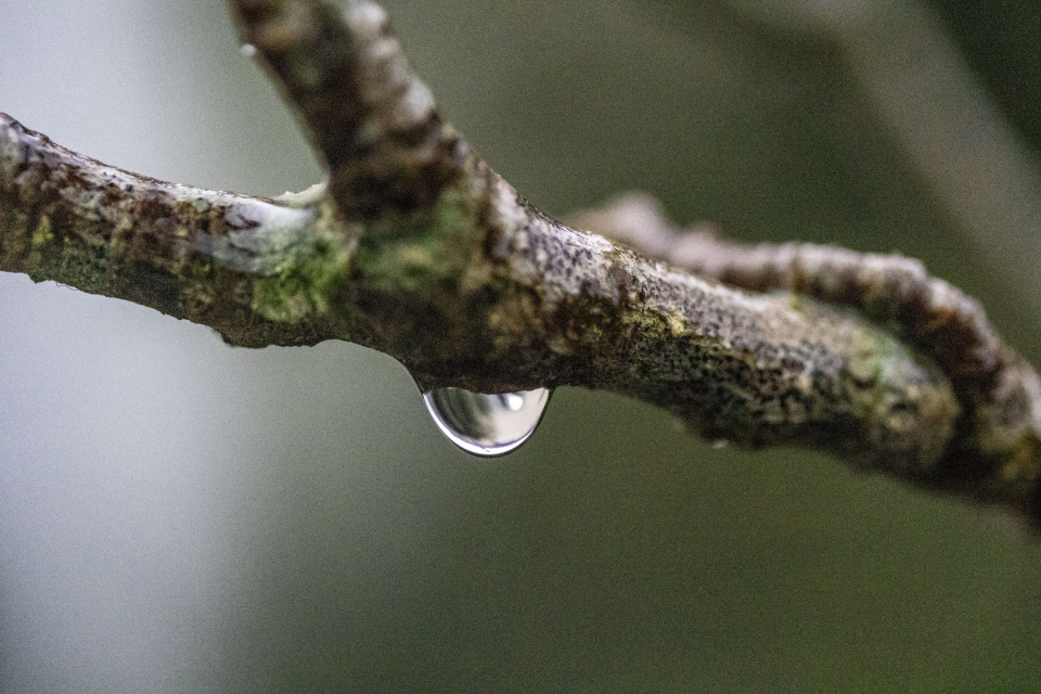 Water droplet | Jerra | Blipfoto