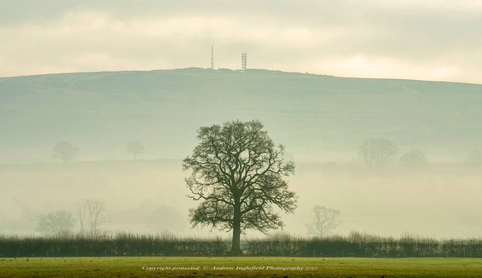 Inleman Brown Clee Tree | Ingleman | Blipfoto