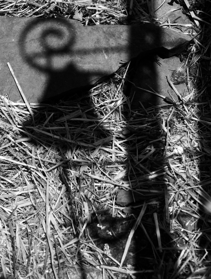 Bell Shadow | TiciaS | Blipfoto