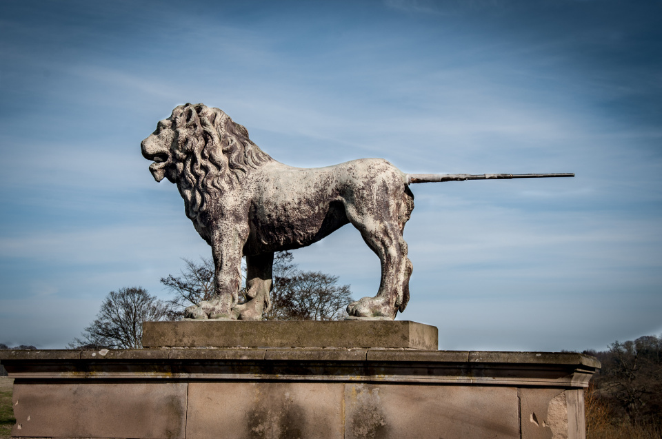 Animal Representations- The Percy Lion | ncpinkerton | Blipfoto