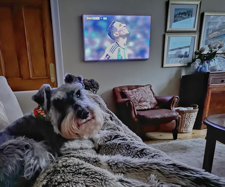 A Friend Came Over For LadyMarchmont Blipfoto a-friend-came-over-for-ladymarchmont-blipfoto