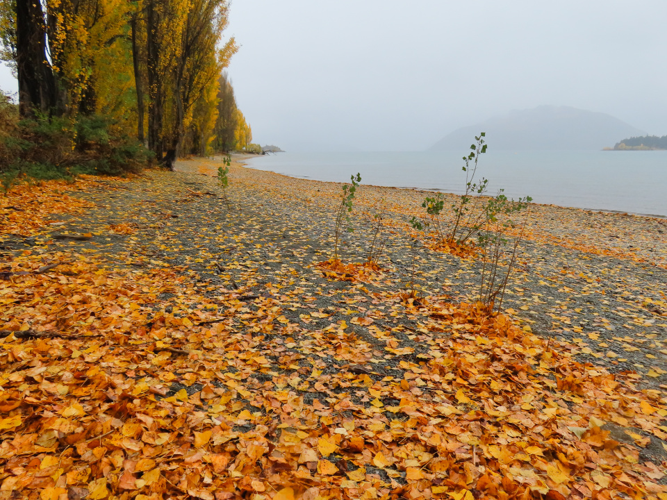 wet-wet-wet-acyclinggranny-blipfoto