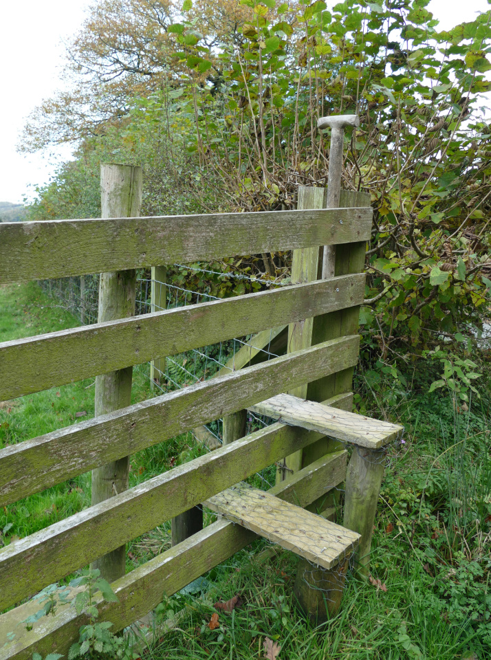 One of four candles NatureWatcher Blipfoto