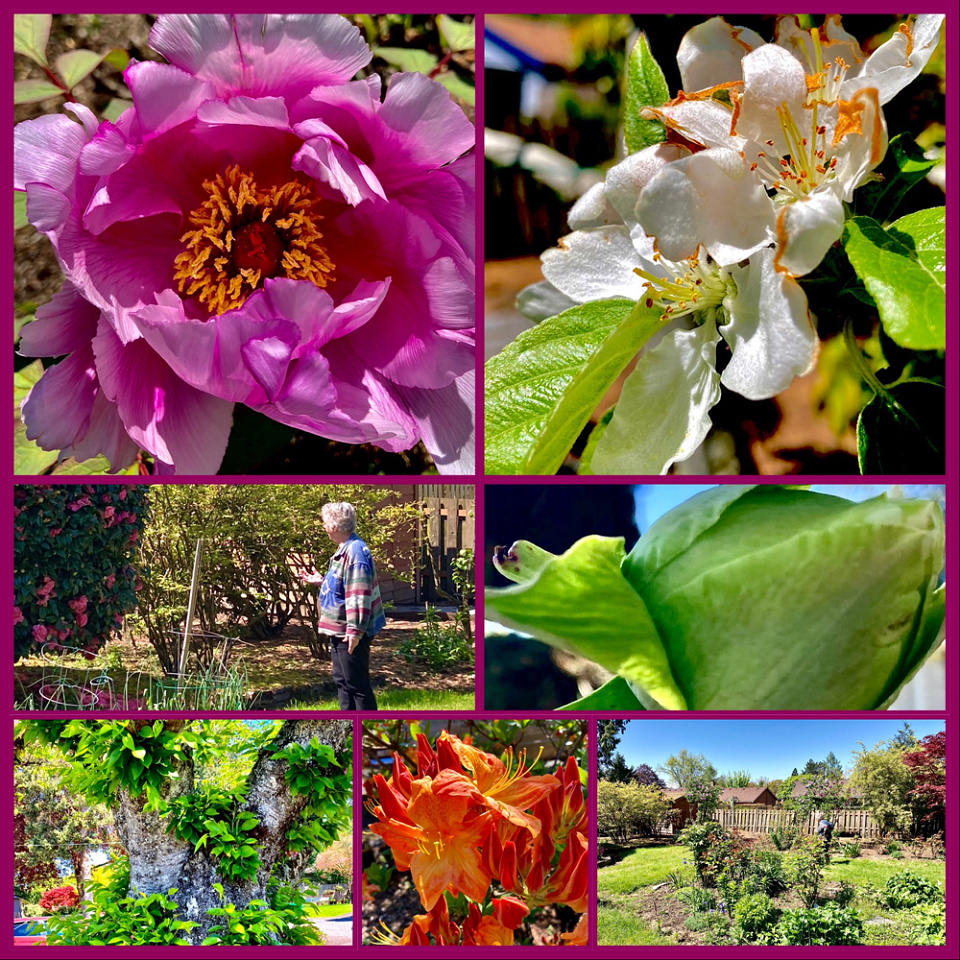 plants-get-transplanted-tookie-blipfoto