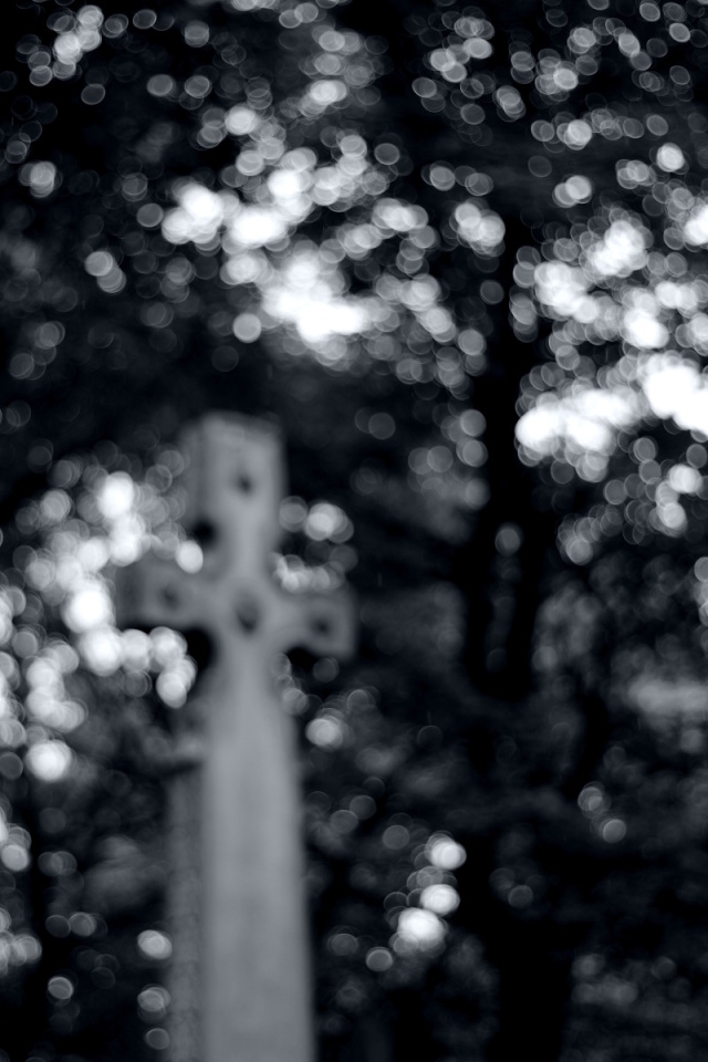 Cross | justsitting | Blipfoto Cross | justsitting