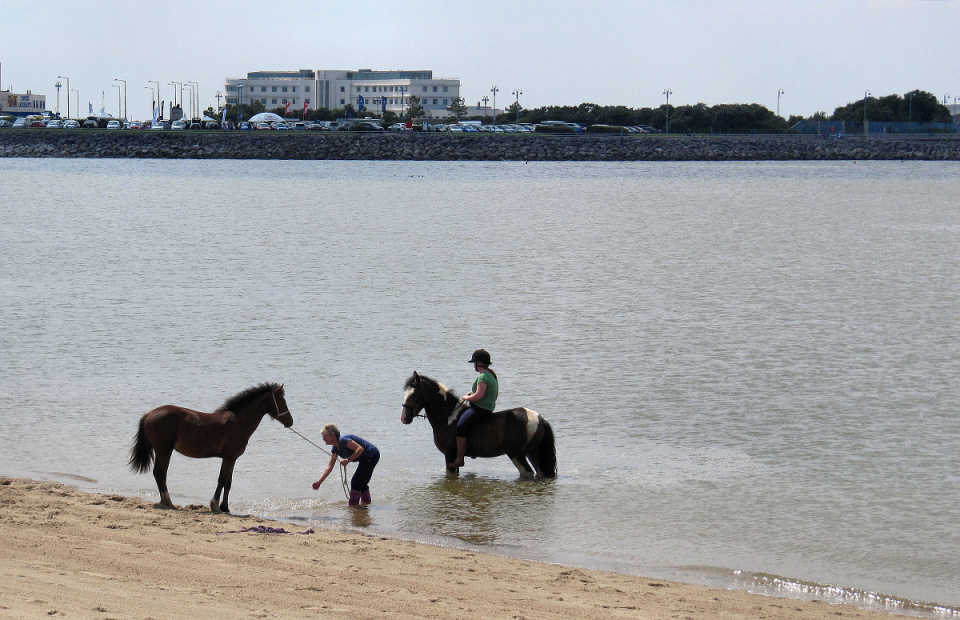 Morecambe MrsCyclops Blipfoto