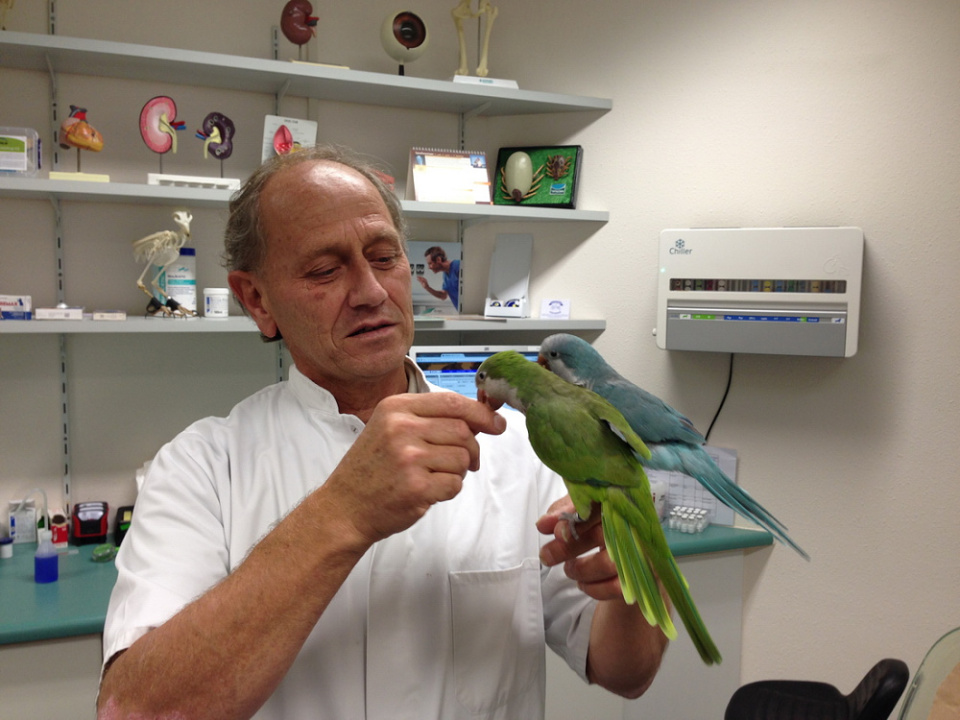 Off to my avian vet we went today ellenparrots Blipfoto