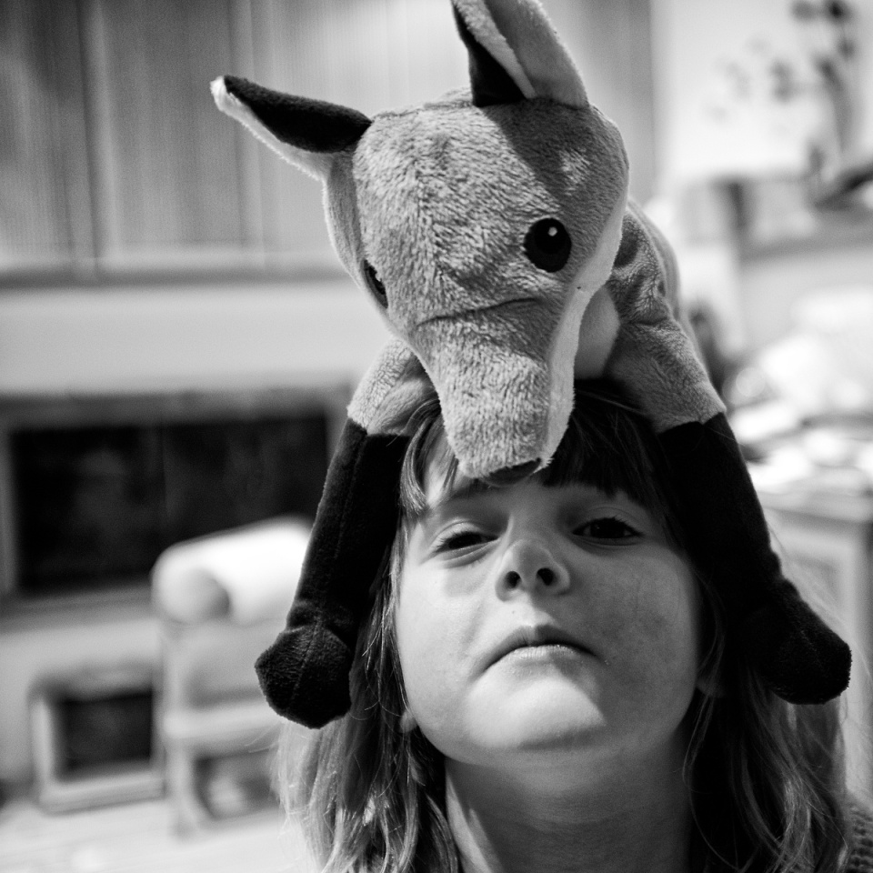 Wear the fox hat Instography Blipfoto