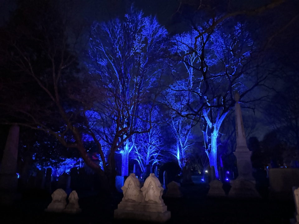 Winter Solstice, Mt. Auburn Cemetery justbe Blipfoto