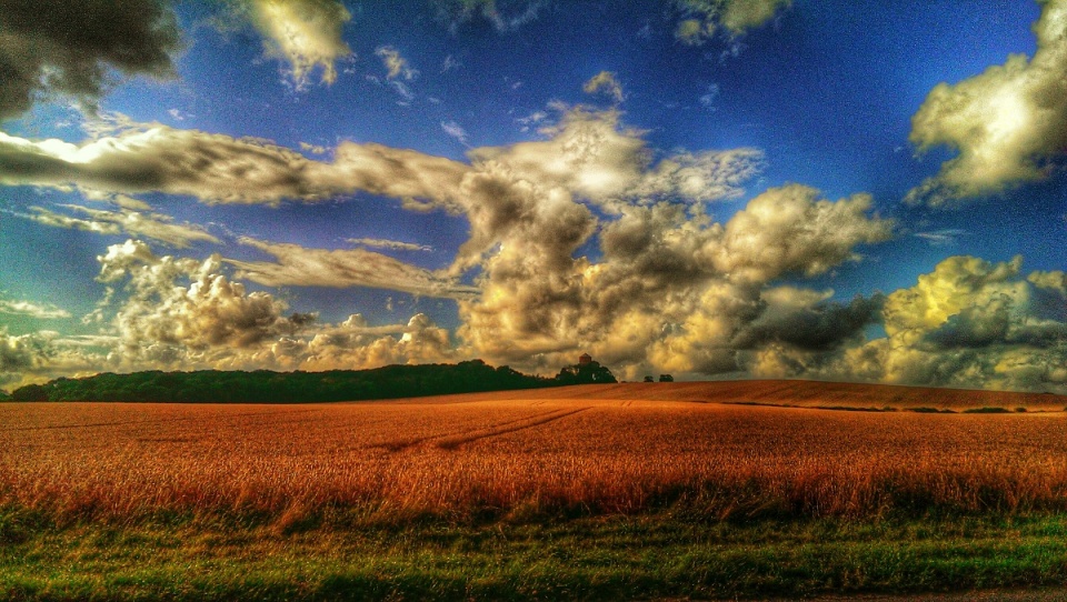 Not a mono Monday.....