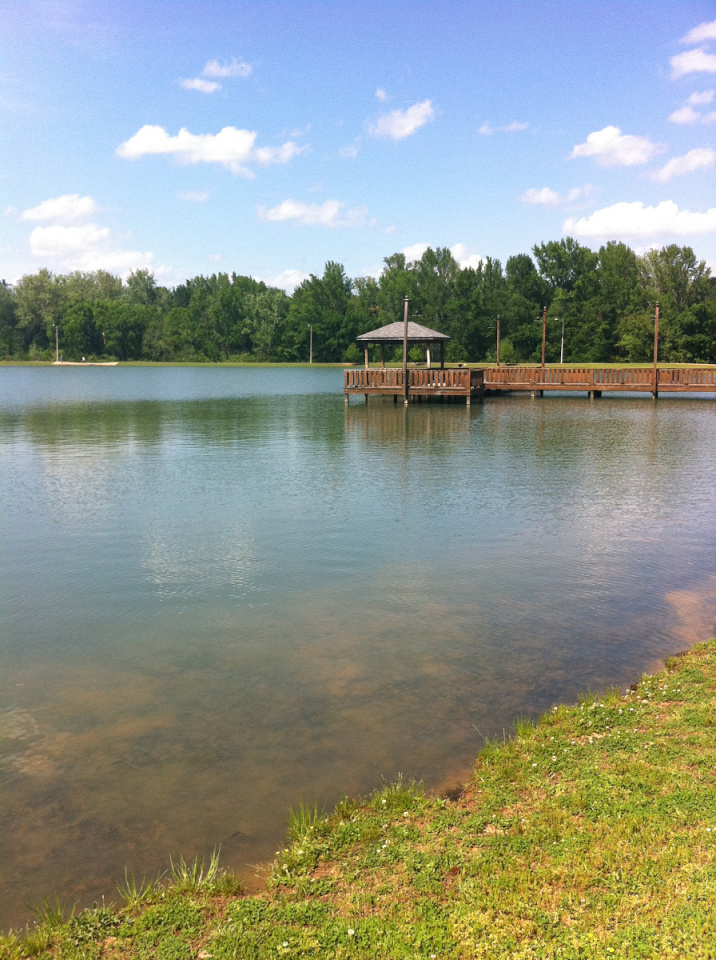 Lamar Park Lake Wingdings Blipfoto