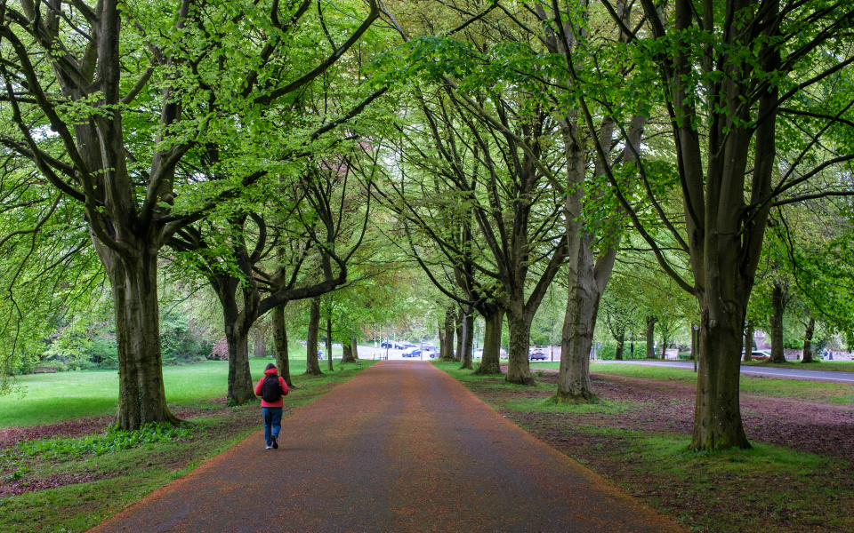 Clifton Down RobBris50 Blipfoto