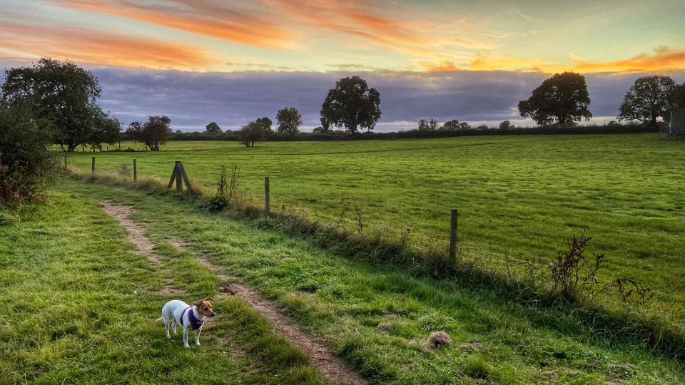 A walk along the river essay picture