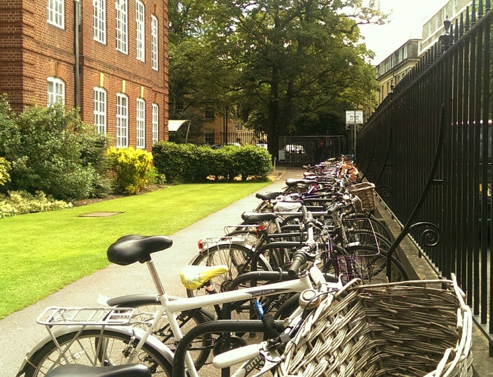 All quiet at the Pathology Dept....