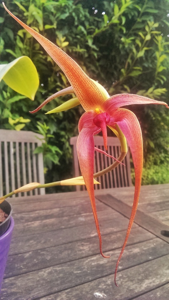 Worth waiting for...