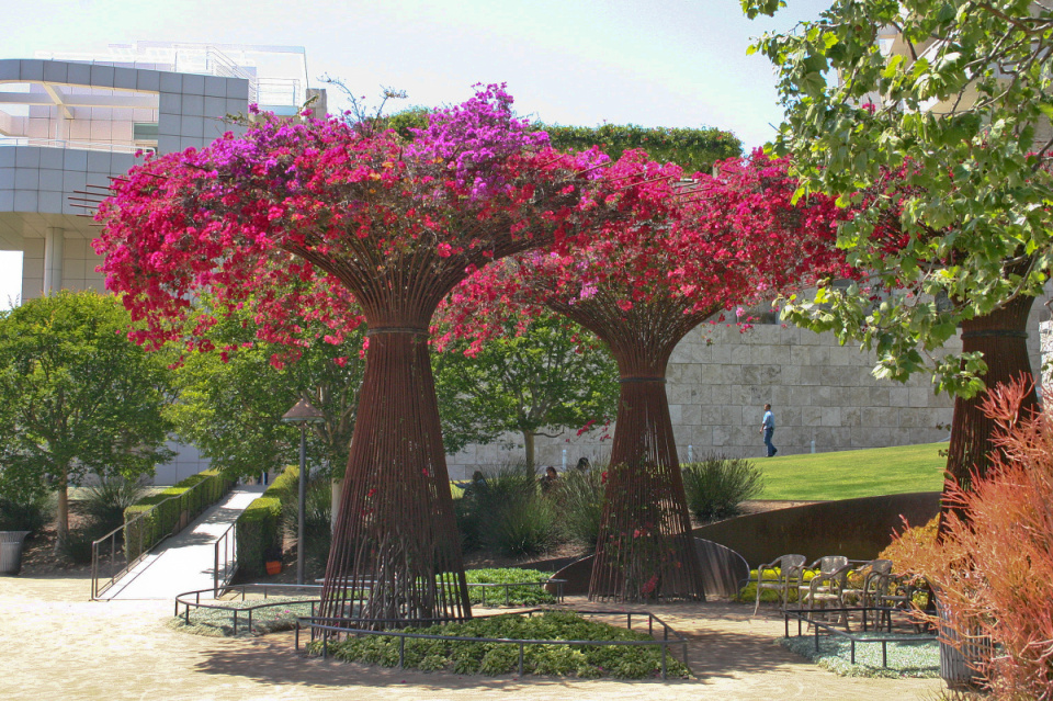 Bougainvillea Arbors, Central Garden, Getty Center | carolinav | Blipfoto