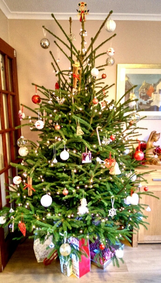 Oh Christmas tree...