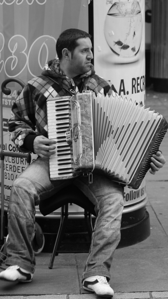 Accordion Player forbes780 Blipfoto