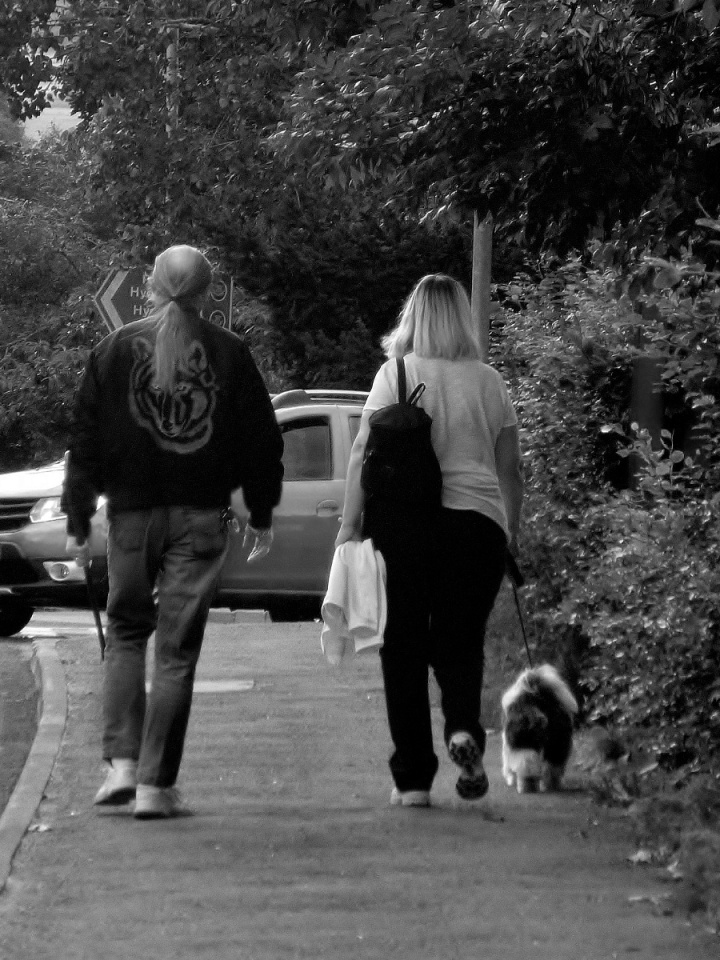 Heads and Tails mmh Blipfoto