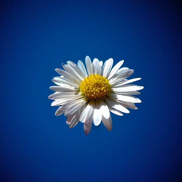 Legless | dp | Blipfoto Legless | dp