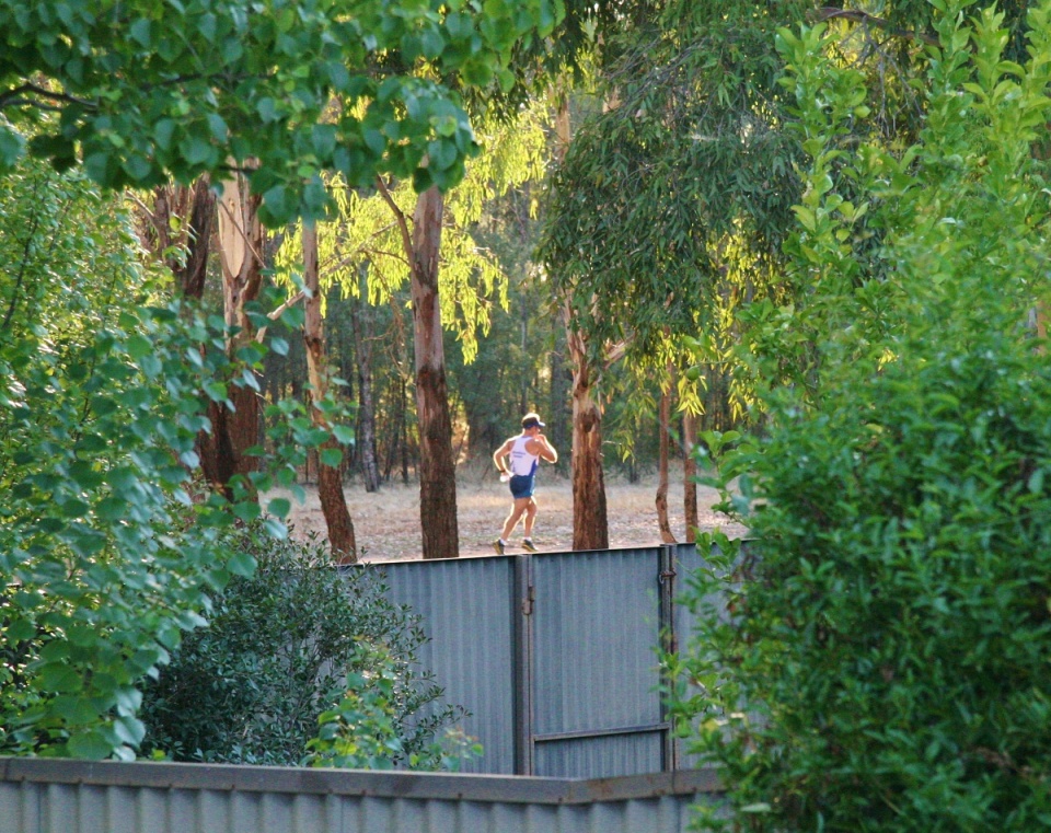 Over The back Fence Robbwood1973 Blipfoto