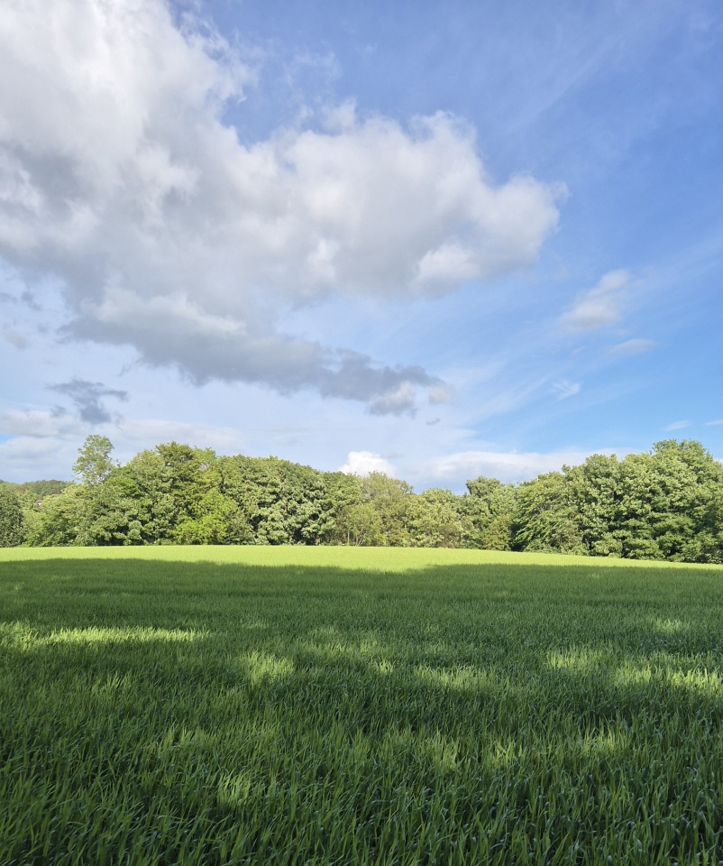 A Fleeting Moment Of Sunshine ElspethAnne Blipfoto a-fleeting-moment-of-sunshine-elspethanne-blipfoto