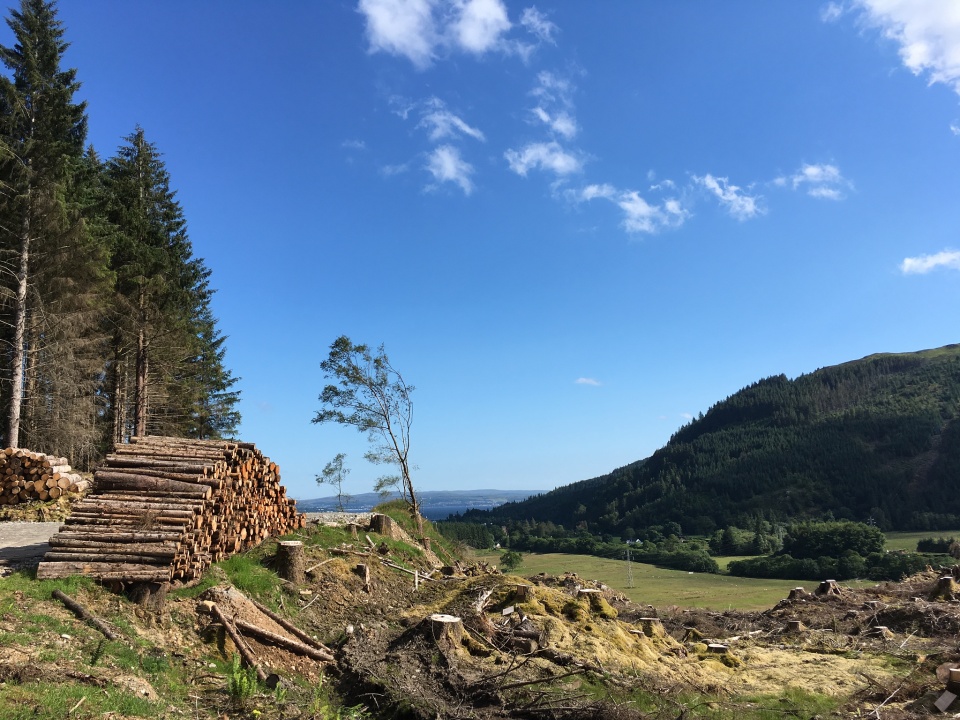 Stout Cortez moment blethers Blipfoto