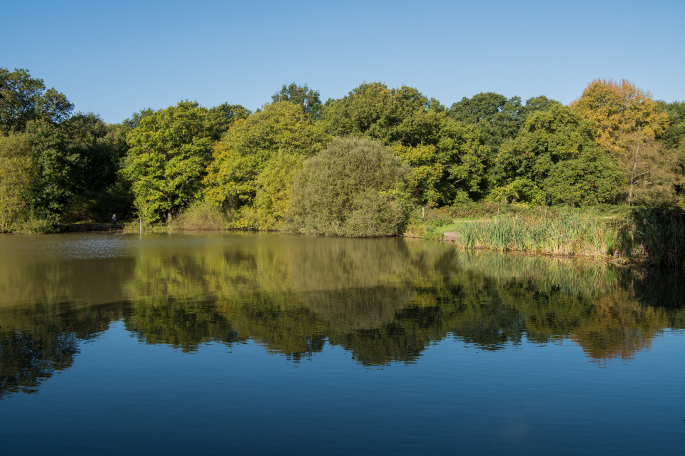 stew-pond-nickyr-blipfoto