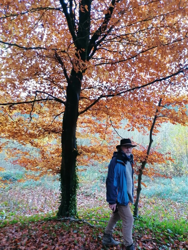 Mullaghreelan Wood, Kildare wonderfulworld Blipfoto