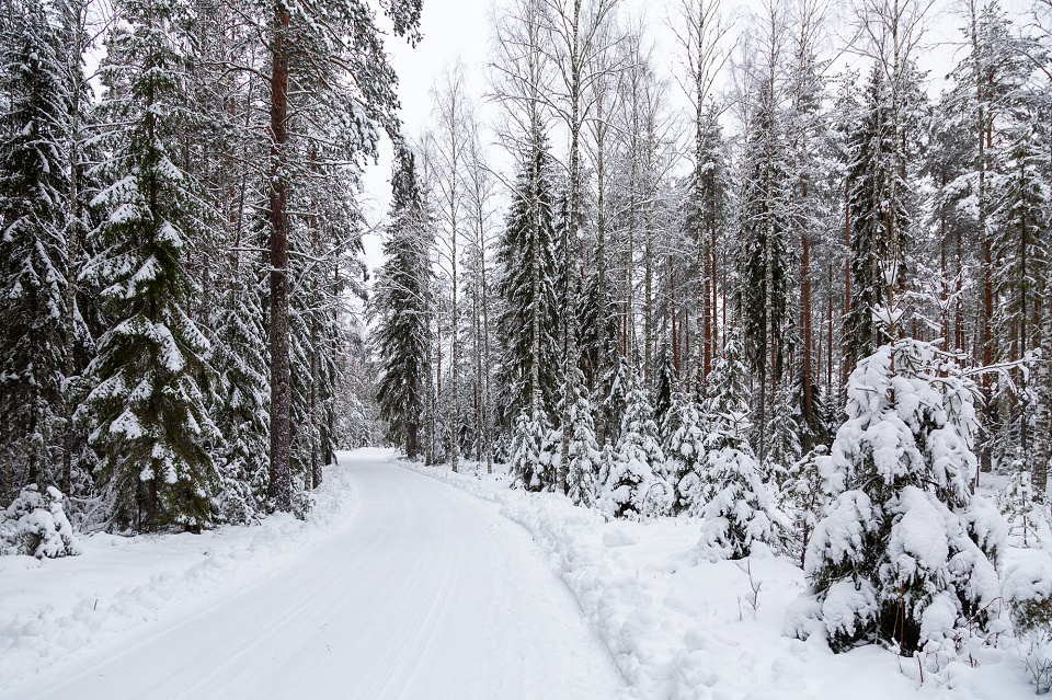 Road in the winter wonderland | jukkakos | Blipfoto