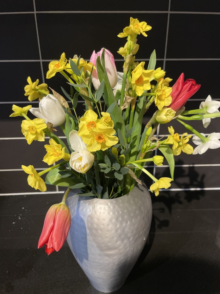 Scilly flowers jennym999 Blipfoto