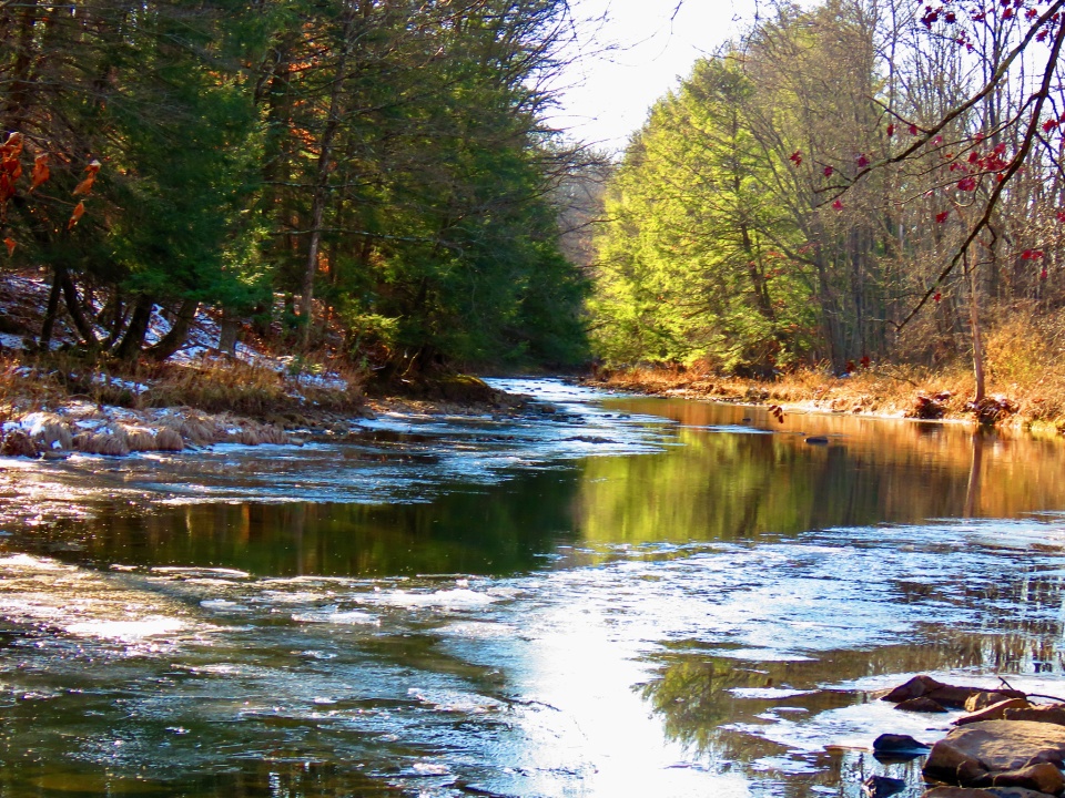 Wild Adventures Along Bald Eagle Creek | GirlWithACamera | Blipfoto