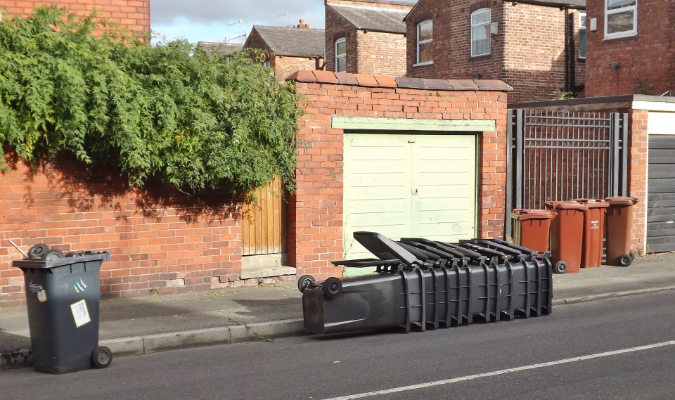 New bins day blouseybrown Blipfoto