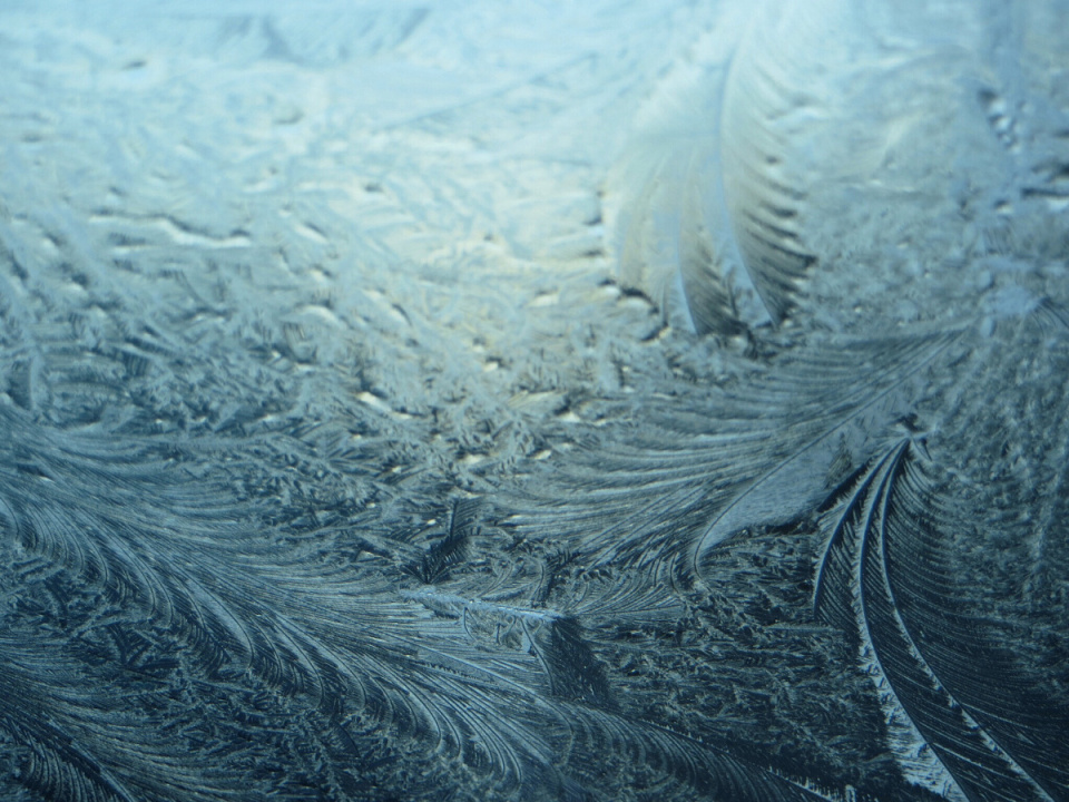 Ice Feathers 