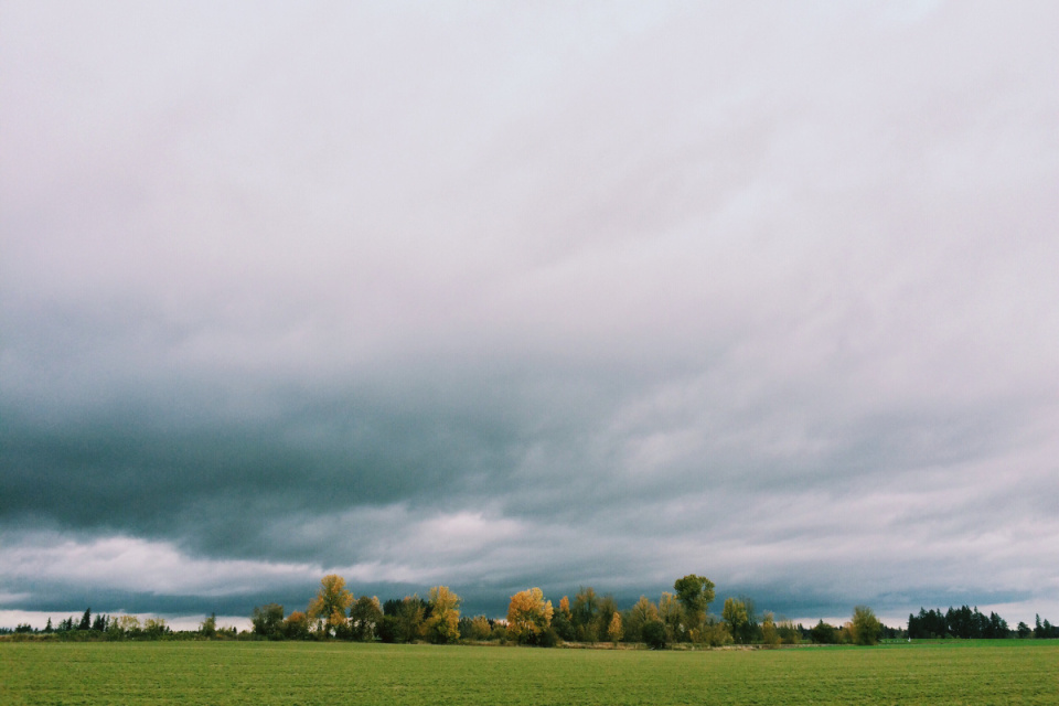 A blustery kind of day A... | MyEveryday | Blipfoto A blustery kind of dayA... | MyEveryday