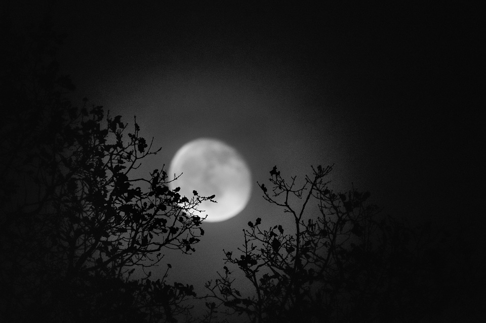 Hazy Moon | AH14inbw | Blipfoto