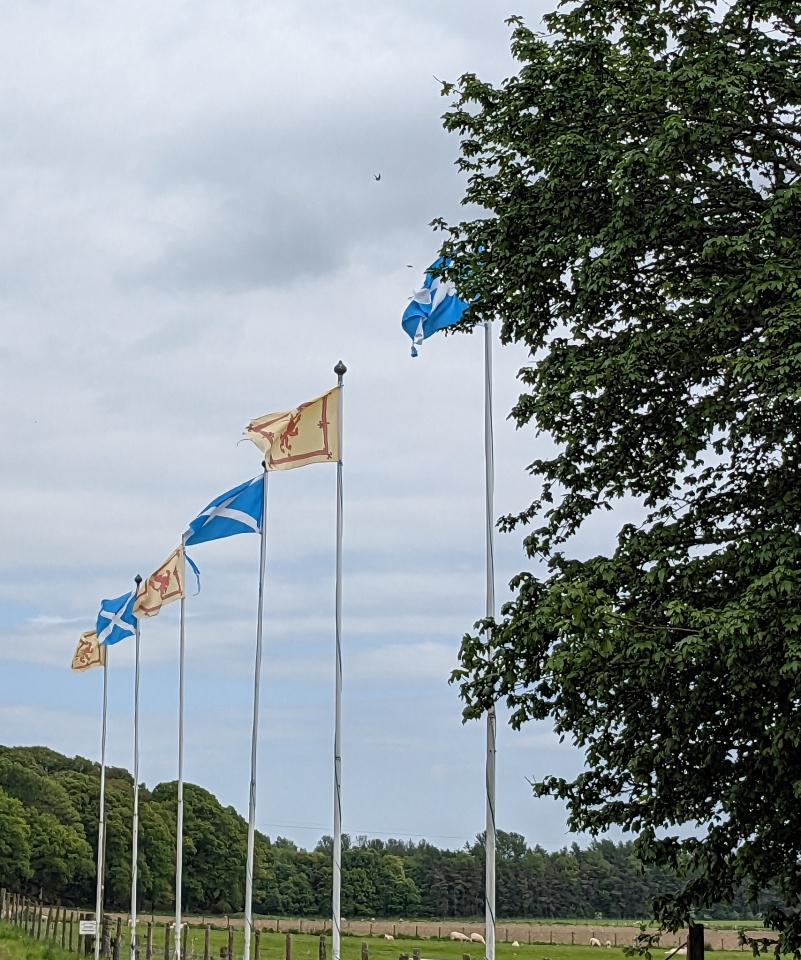 get-the-flags-out-julesjourney-blipfoto