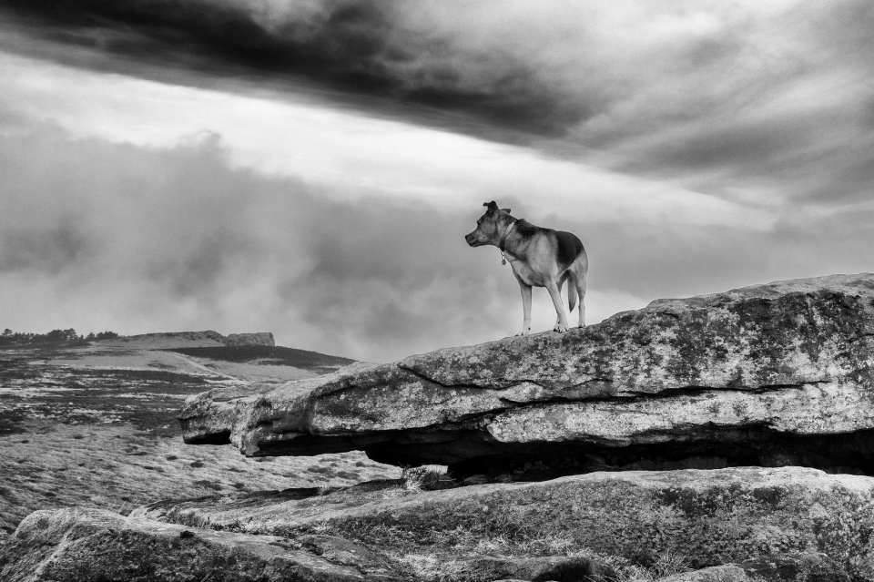 A light inversion | WharfedaleBex | Blipfoto