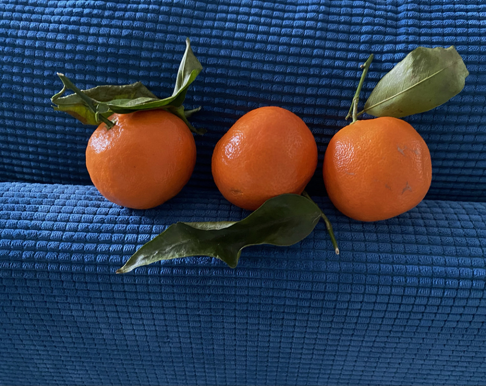 easy-peelers-cmblow-blipfoto