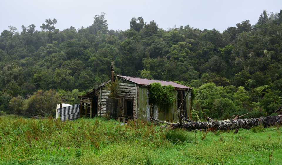 Seddonville House MrsPuff Blipfoto