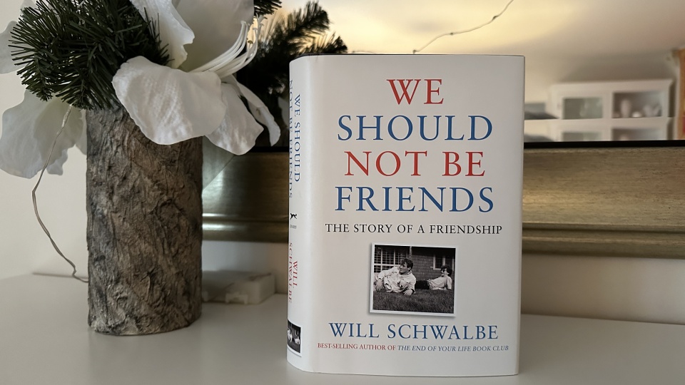 We Should Not Be Friends: The Story of a Friendship [Book]