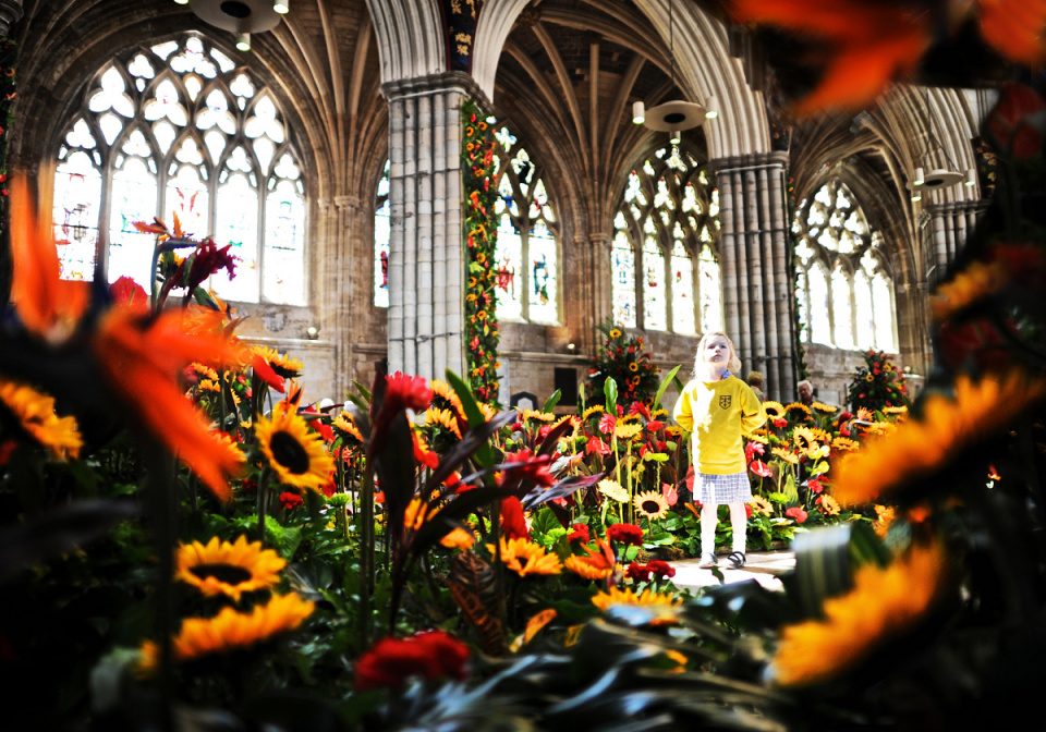 Flower Festival 2 MattAustin Blipfoto