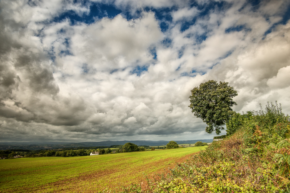 Bye Bye Blue Sky | RockArea | Blipfoto