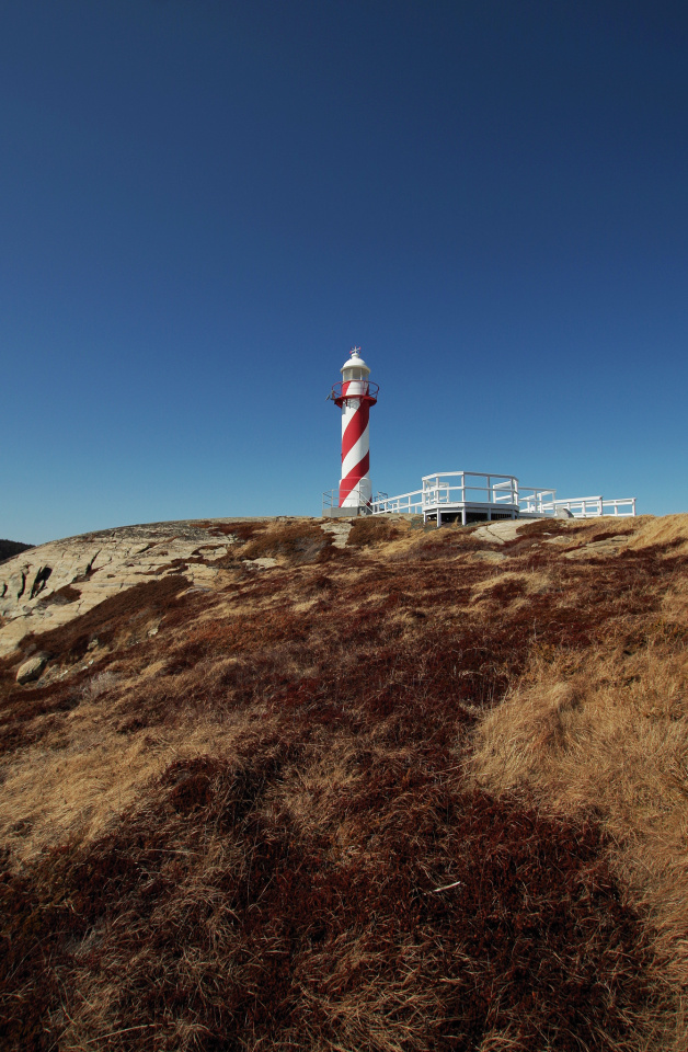 Hearts Delight,Newfoundland DelenaJane Blipfoto