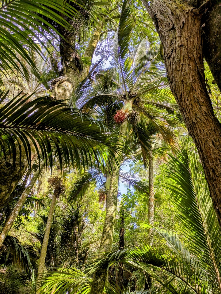 The Grove | freespiral | Blipfoto