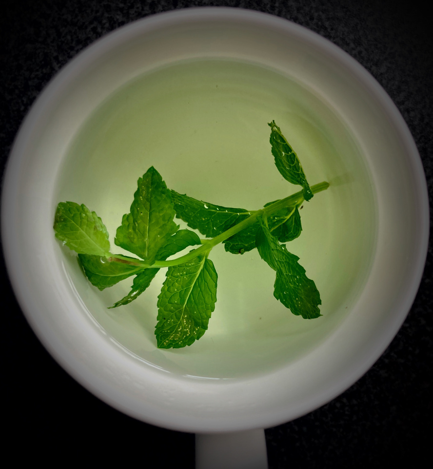 Mint mambo blipfoto