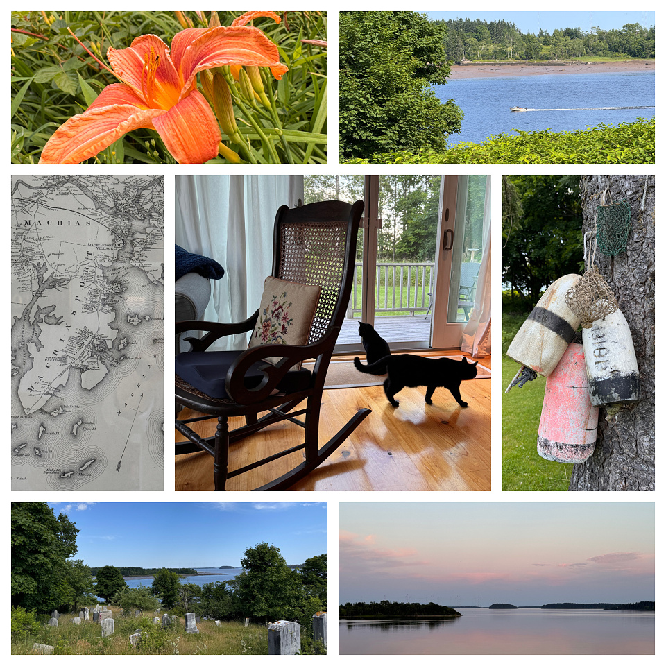 Machiasport, Maine, Day 5 justbe Blipfoto