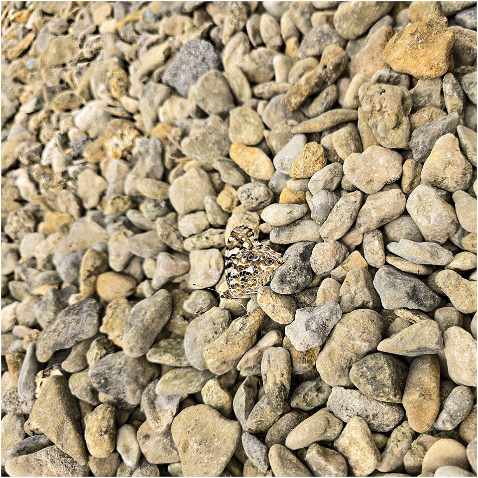 Stone Plus Rocks Stones plus....... | Terrifo | Blipfoto